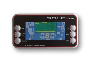 Backlit LCD Display - SR500