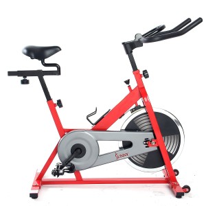 Sunny SF-B1001 Indoor Cycling Bike (Red)