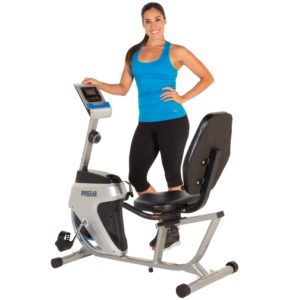 ProGear 555LXT Magnetic Tension Recumbent Bike