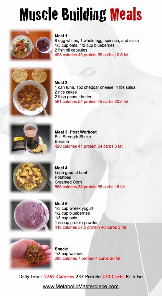 What Is Bulking And Cutting what-is-bulking-and-cutting