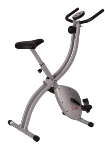 Sunny Health & Fitness SF-B2605 Folding Upright Exercise ...