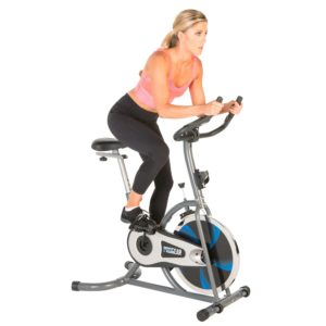 ProGear 100S Exercise Bike with Heart Pulse
