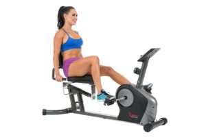 Sunny Health & Fitness SF-RB4602 Recumbent Bike