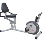 Sunny Health & Fitness SF-RB4601 Recumbent Bike