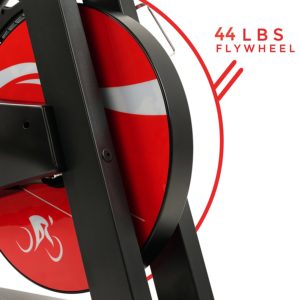 Evolution Pro Indoor Cycling Bike Flywheel