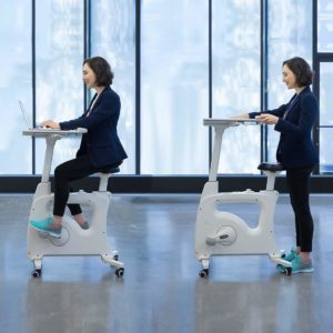 Deskcise Pro Standing Desk Bike