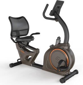 Niceday Indoor Recumbent Exercise Bike